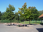 Au&szlig;enklassenzimmer